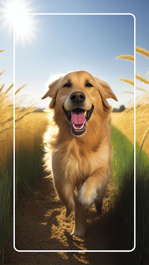 Golden Retriever Wallpaper Screenshot 1