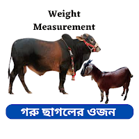 গরু ও ছাগলের ওজন