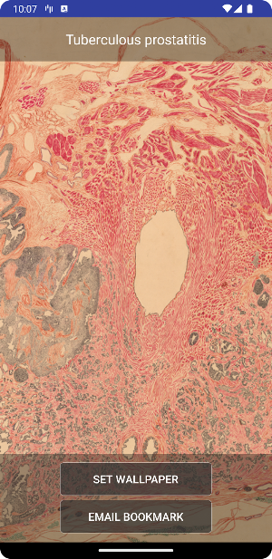 S. Gil Vernet Screenshot 3