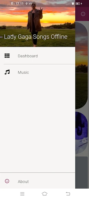 Lady Gaga Songs Offline Screenshot 1