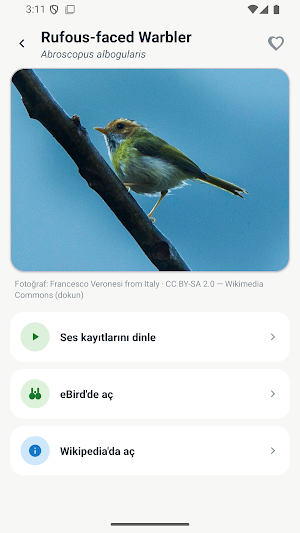 Boring Bird Sound Identifier Screenshot 3