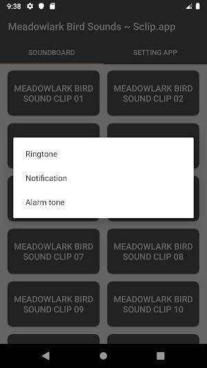 Meadowlark Bird Sound Collections ~ Sclip.app Screenshot 3