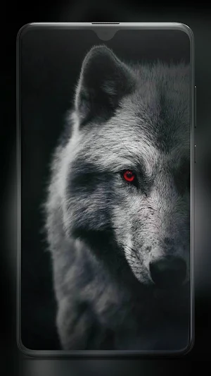 Wolf Wallpaper HD Screenshot 3