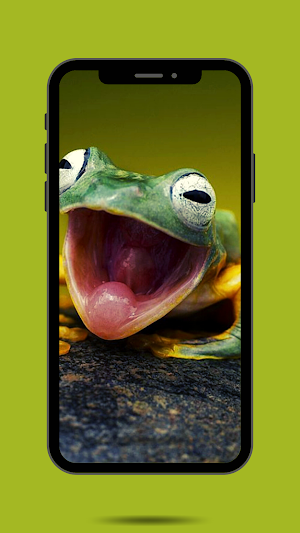 Frog Ringtone Sound Screenshot 2