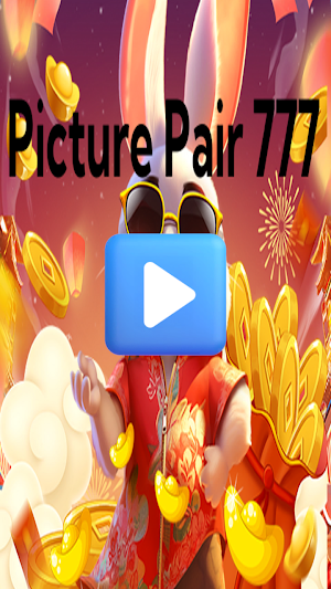 Picture Pair 777 Screenshot 2