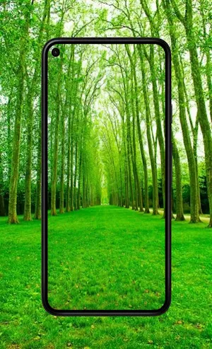 Green wallpapers 4K 2024 Screenshot 0