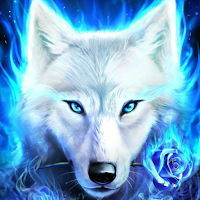 Wolf Backgrounds 4k/HD