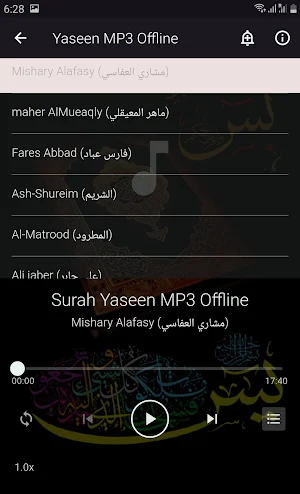Yaseen MP3 Offline Screenshot 1