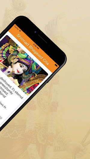 Shrimad Bhagavad Gita Screenshot 3