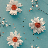 Lockscreen Aesthetic Wallpaper