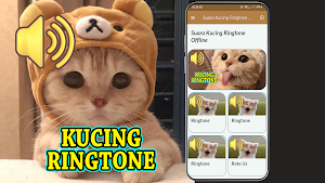 Suara Kucing Ringtone Offline Screenshot 2