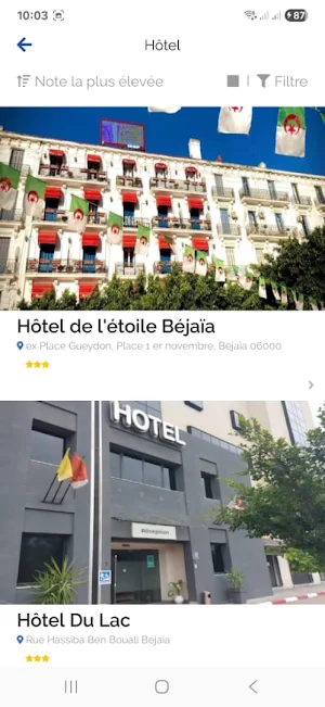 Ziguade plus Screenshot 1