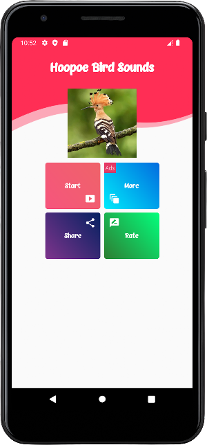 Hoopoe Bird Sounds Screenshot 0