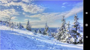 Winter Scenes Screenshot 2