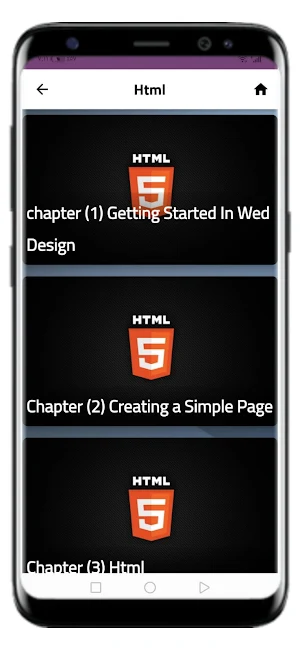 Web Developer Screenshot 2