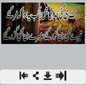 Judai Shayari Screenshot 2