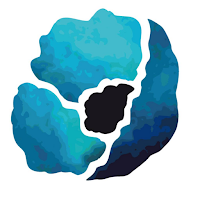 Teal Poppy