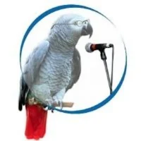 Freedom Radio Muryar Jama'a