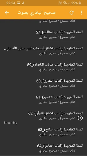 كتاب صحيح البخاري صوت بجودة عا Screenshot 3