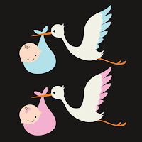 Baby Gender - Chinese Calendar