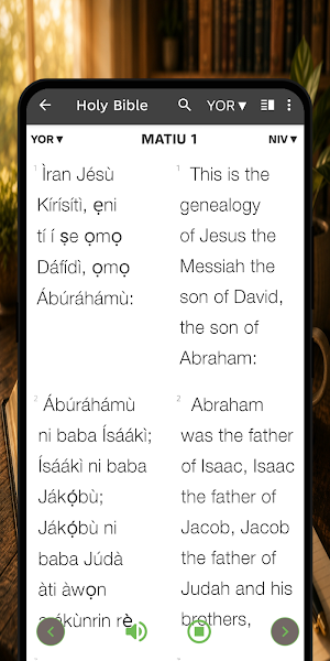 Yoruba Bible Offline Screenshot 2