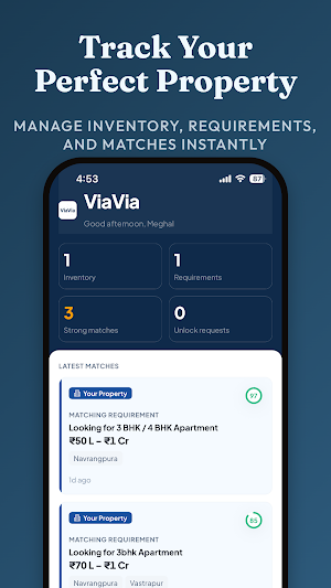ViaVia Screenshot 0