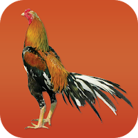 Gamecocks