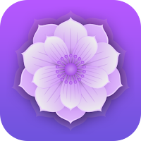Mandala Designer
