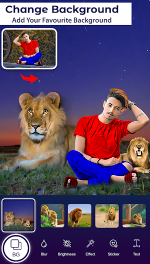 Lion Photo Editor Screenshot 3