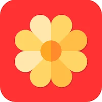 Photo Gallery & Video Status
