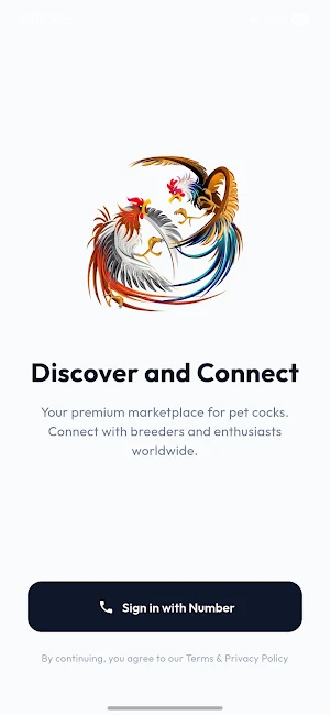 Cokopets Screenshot 0