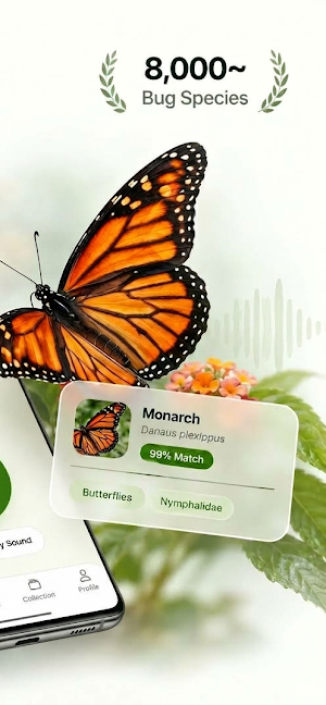 Buggy: Bug Identifier Screenshot 1