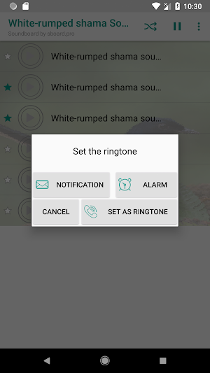 White-rumped shama Sounds ~ Sboard.pro Screenshot 2