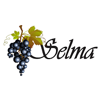 Selma Auto Mall Connect