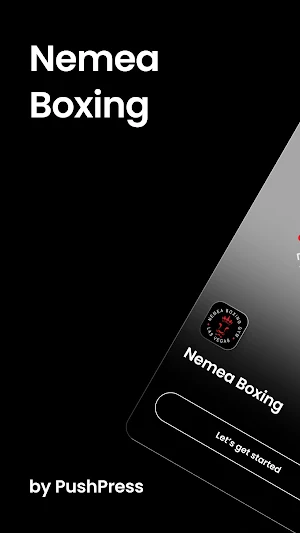 Nemea Boxing Screenshot 0