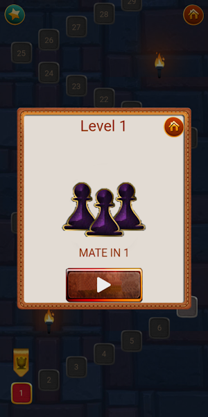 Chess Practice Play Screenshot 2