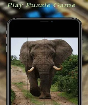Photo Puzzle Game Screenshot 3