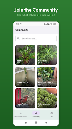 Trail ID: AI Nature Identifier Screenshot 0