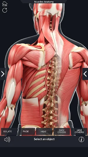 Muscle Anatomy Pro. Screenshot 3