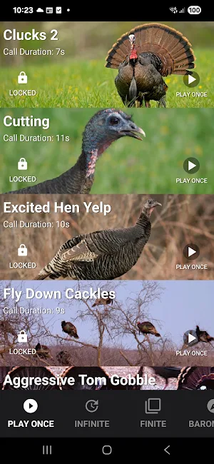 Turkey Calls Screenshot 0