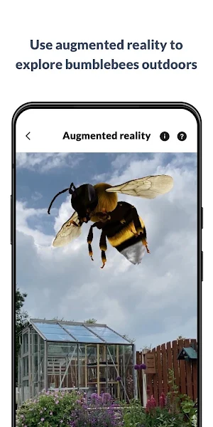 What’s that bumblebee Screenshot 2