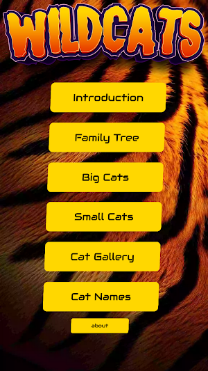 Wildcats Screenshot 1