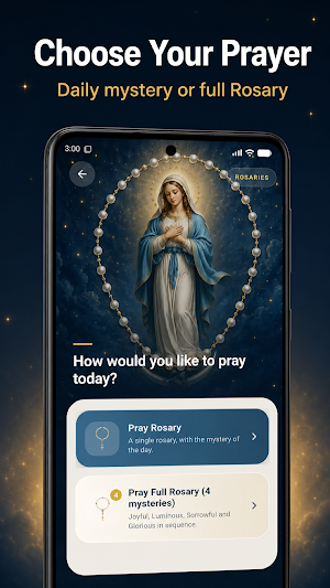 Holy Rosary with Audio Screenshot 2