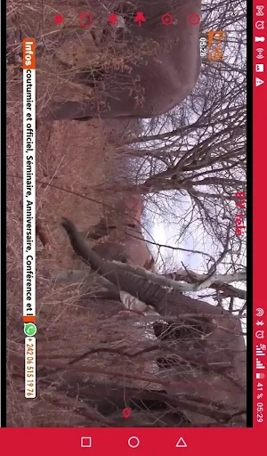 Congo Radio TV Screenshot 0