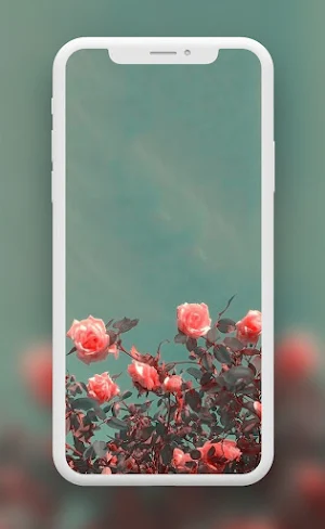 Flowers Wallpapers Screenshot 1