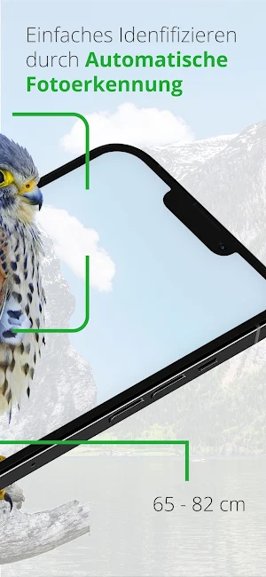 Vögel in Österreich Screenshot 1