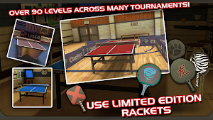 Ping Pong Masters Screenshot 1