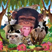 Animal Sounds For Kids