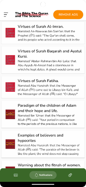 Mughal Empire: A Short Story Screenshot 1