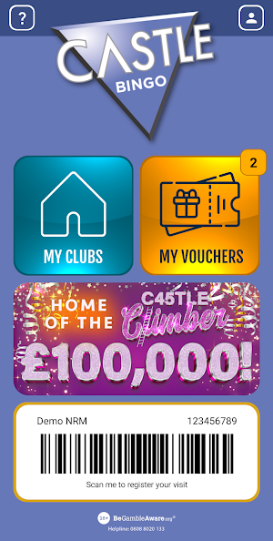 Castle Bingo Screenshot 0